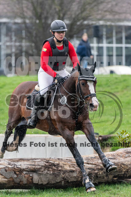 Goldene Schärpe 2020 - Pferde