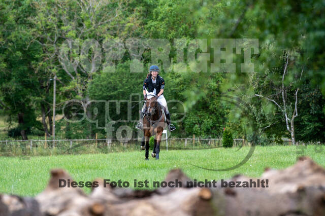 Bonn-Rodderberg Late-Entry-Vielseitigkeit (30.06.2020)