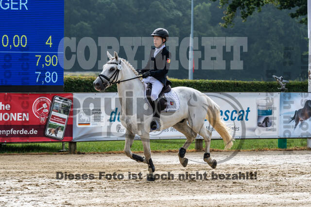 Goldene Schärpe 2021 - Ponys