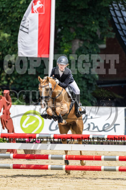 Goldene Schärpe 2021 - Ponys