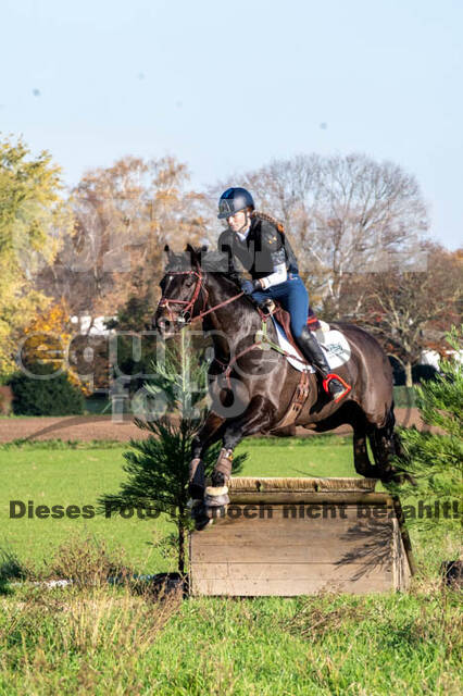 Vielseitigkeitslehrgang mit Jürg Kurbel (9.+10.11.2019)