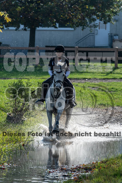 IGV Lehrgang der Sieger der Cups mit Frank Ostholt