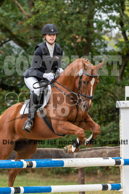 Vielseitigkeit RSV Wesel Obrighoven (26.+27.09.2020)