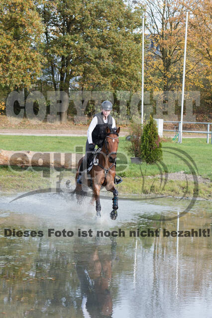 IGV Lehrgang der Sieger der Cups mit Frank Ostholt