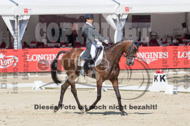 FEI European Championship Eventing 2017