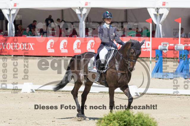 FEI European Championship