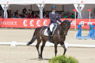 FEI European Championship