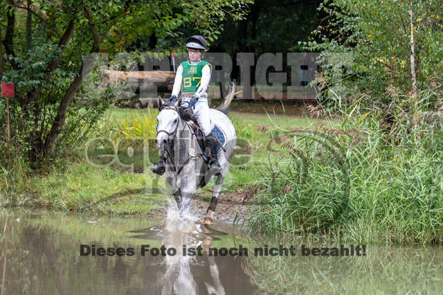 Vielseitigkeit RSV Wesel Obrighoven (26.+27.09.2020)