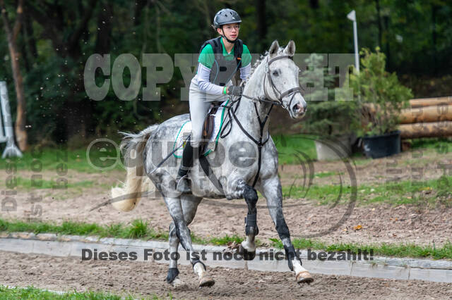 Goldene Schärpe 2020 - Pferde