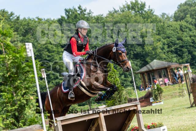 Goldene Schärpe 2021 - Ponys