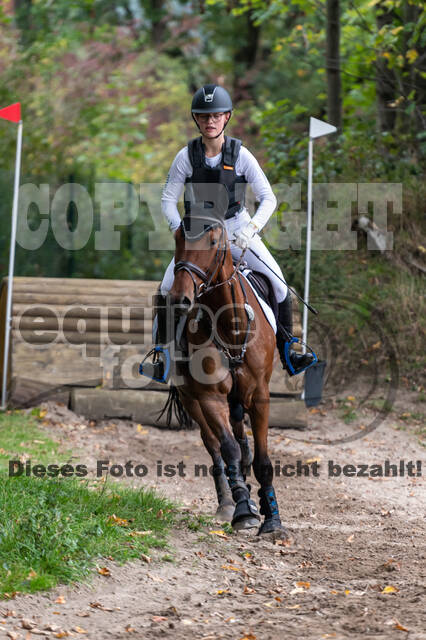 Goldene Schärpe 2020 - Pferde