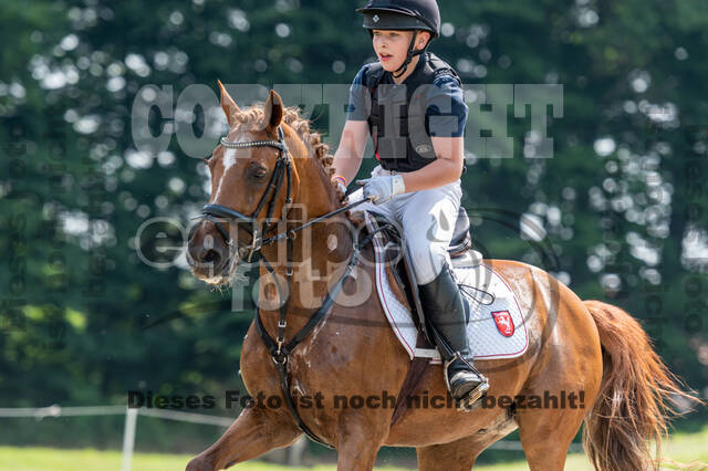 Goldene Schärpe 2021 - Ponys