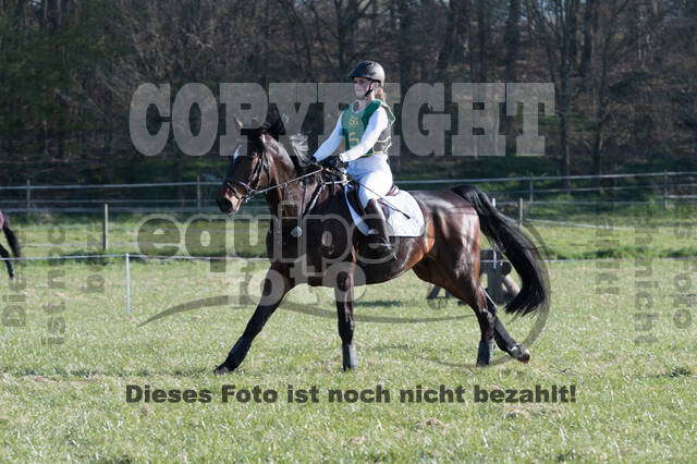 Vielseitigkeitsturnier RV Seydlitz Kamp (03.04.2022)