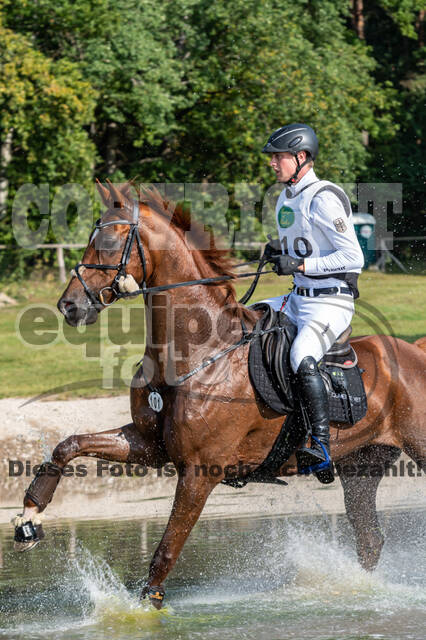 Deutsche Meisterschaft Vielseitigkeit (Luhmühlen)