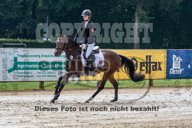 Goldene Schärpe 2021 - Ponys