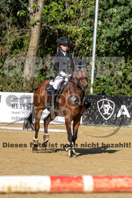 RFV Dinslaken-Hiesfeld (Herbstturnier)