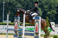 Goldene Schärpe 2021 - Ponys