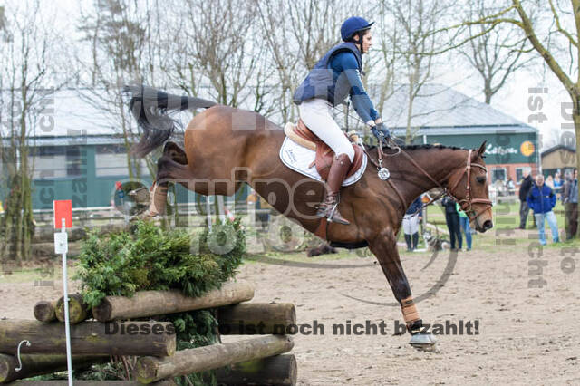 Jungpferdetag Hamminkeln