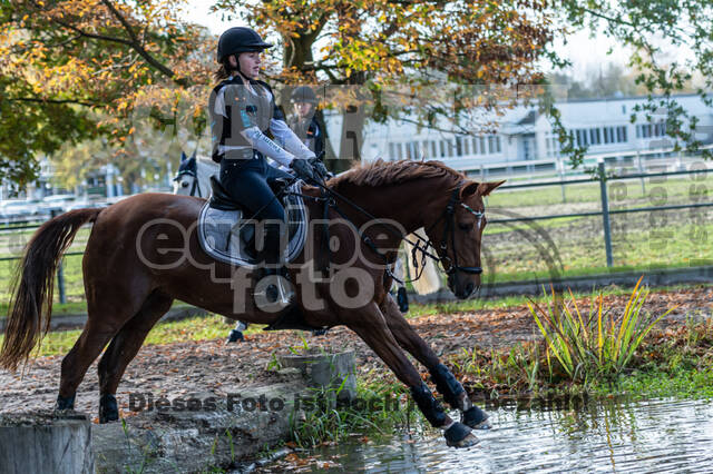 IGV Lehrgang der Sieger der Cups mit Frank Ostholt