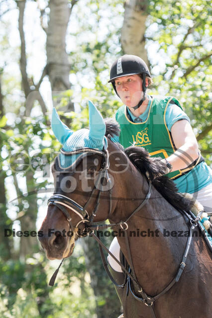 Vielseitigkeitsturnier ZRuFV von Lützow Hamminkeln