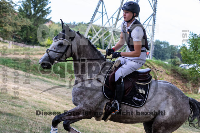 Late-Entry Vielseitigkeit Hamminkeln/Wesel (01.+02.08.2020)