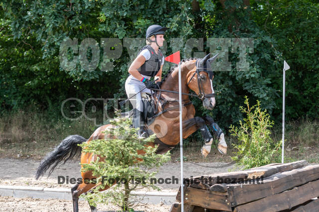 Late-Entry-Vielseitigkeit Langenfeld (11.+13./14.06.2020)