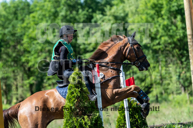 Westerstede Horse Trials (10.-13.06.2021)