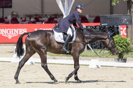 FEI European Championship