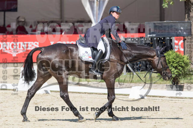 FEI European Championship
