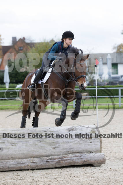 IGV Lehrgang der Sieger der Cups mit Frank Ostholt