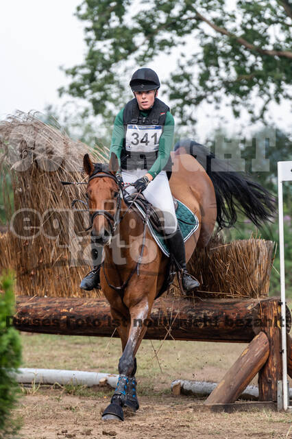 De Peelbergen (August 2020)