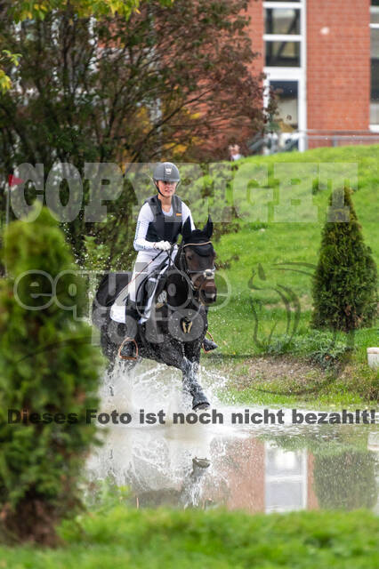 Goldene Schärpe 2020 - Pferde