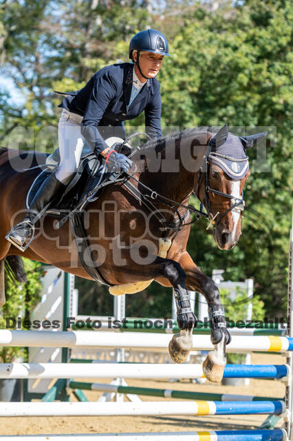 RFV Dinslaken-Hiesfeld (Herbstturnier)