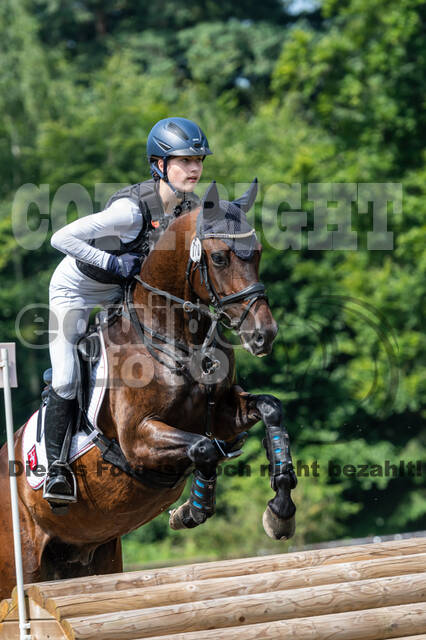 Goldene Schärpe 2021 - Ponys