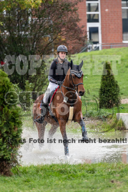 Goldene Schärpe 2020 - Pferde