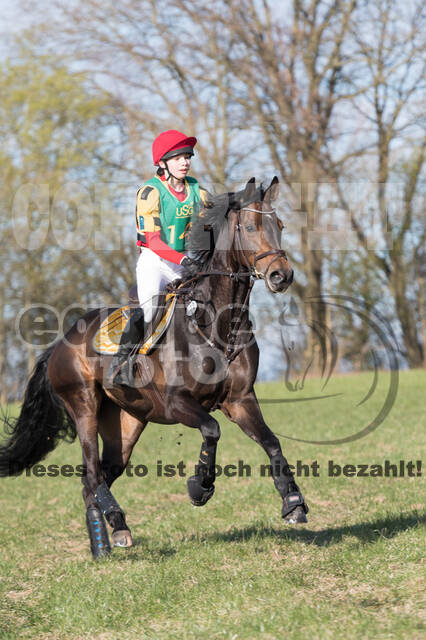 Vielseitigkeitsturnier RV Seydlitz Kamp (03.04.2022)