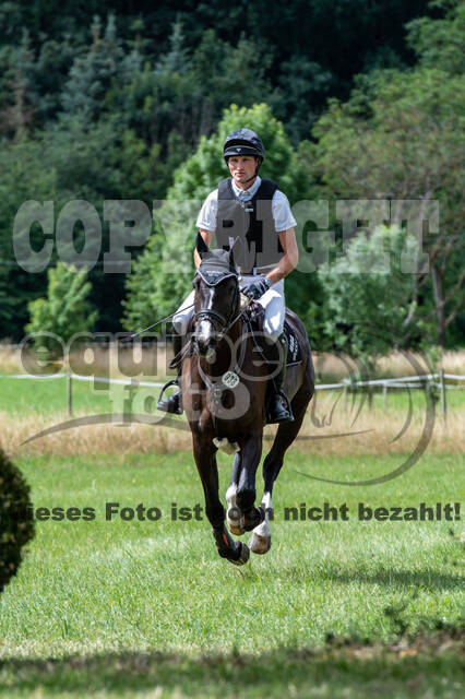 Bonn-Rodderberg Late-Entry-Vielseitigkeit (30.06.2020)