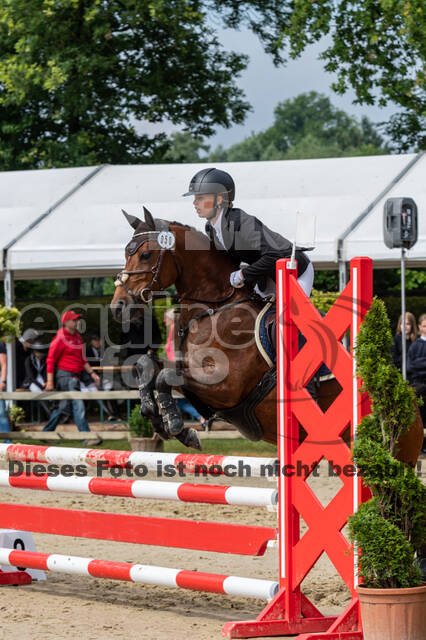 Goldene Schärpe 2021 - Ponys