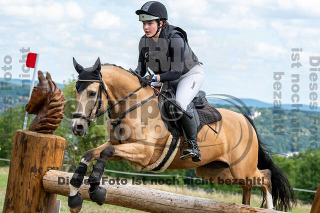 Bonn-Rodderberg Late-Entry-Vielseitigkeit (30.06.2020)