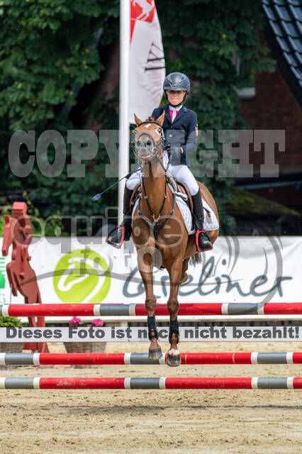 Goldene Schärpe 2021 - Ponys