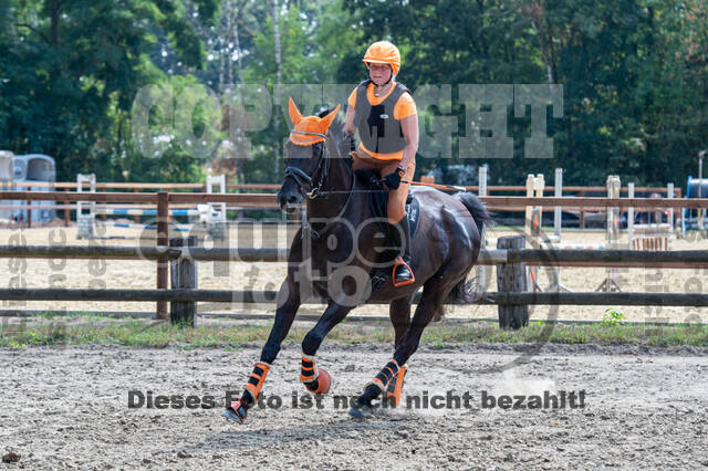 Hunter Geländetraining (16.08.2020)