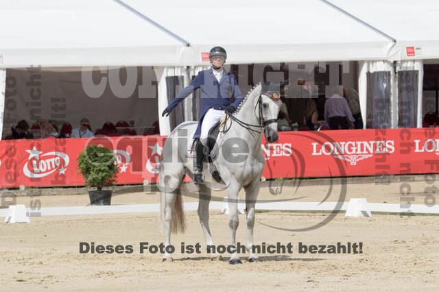 FEI European Championship Eventing 2017