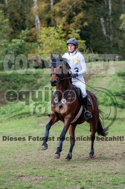 Vielseitigkeit RSV Wesel Obrighoven (26.+27.09.2020)