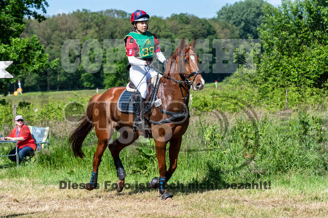 Westerstede Horse Trials (10.-13.06.2021)