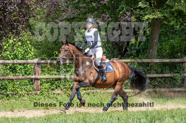 Late-Entry-Vielseitigkeit Gahlen (18.07.2020)