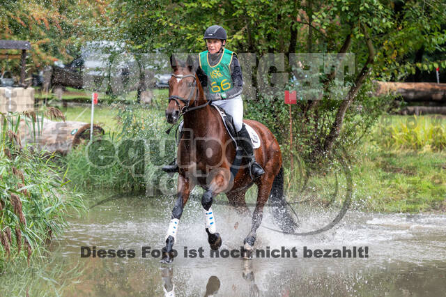 Vielseitigkeit RSV Wesel Obrighoven (26.+27.09.2020)