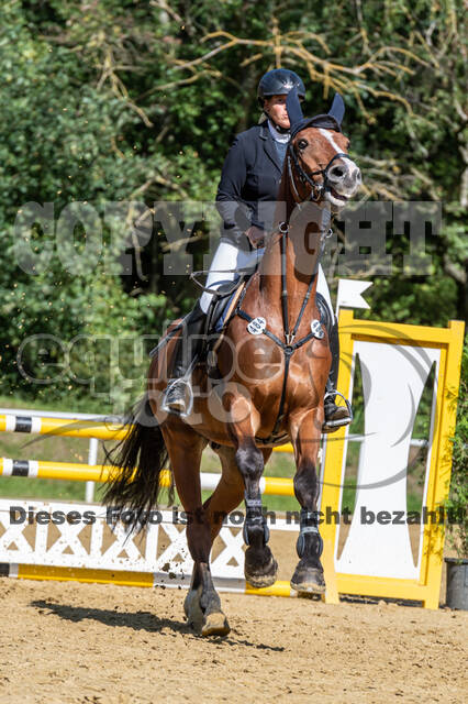 RFV Dinslaken-Hiesfeld (Herbstturnier)