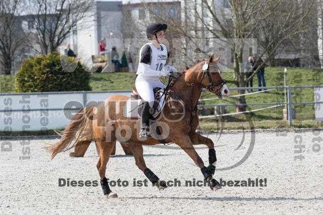 Eventing Langenfeld 2018