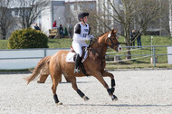 Eventing Langenfeld 2018
