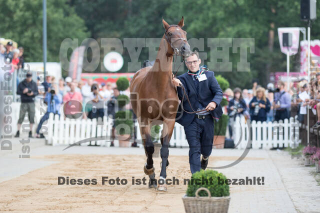 FEI European Championship Eventing 2019